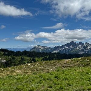 Meet your Posher, Annie